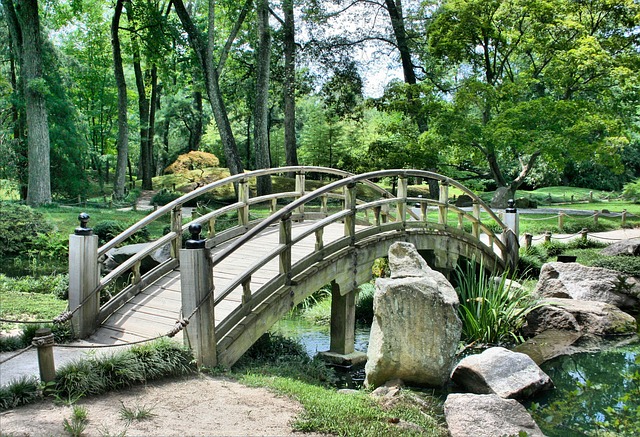 Image Two